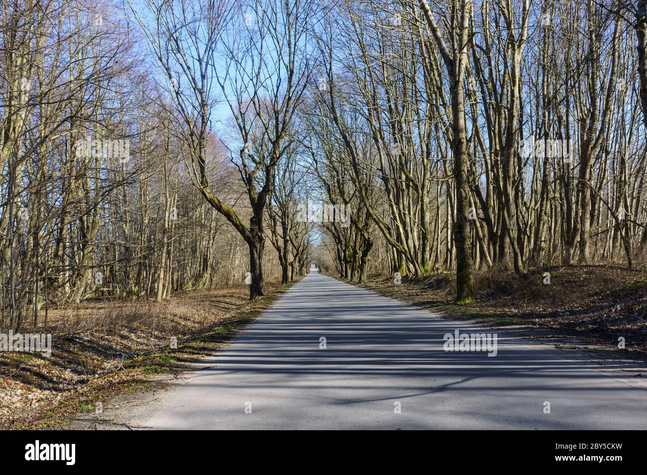 Roadside bike path hi-res stock photography and images - Alamy