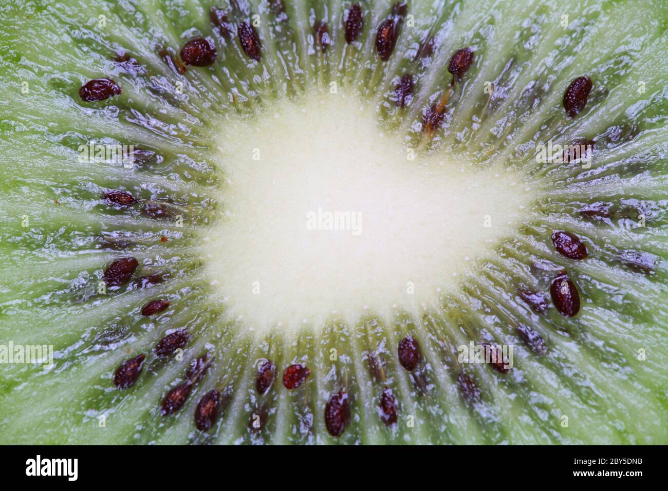 Kiwi chow hi-res stock photography and images - Alamy