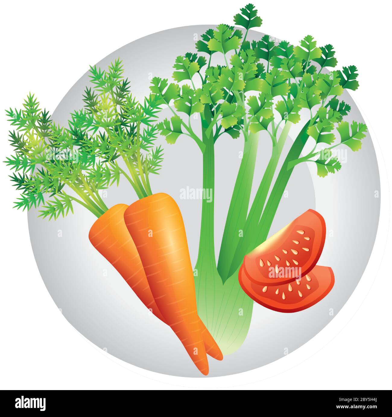 carrot celery and tomato vector design Stock Vector Image & Art Alamy