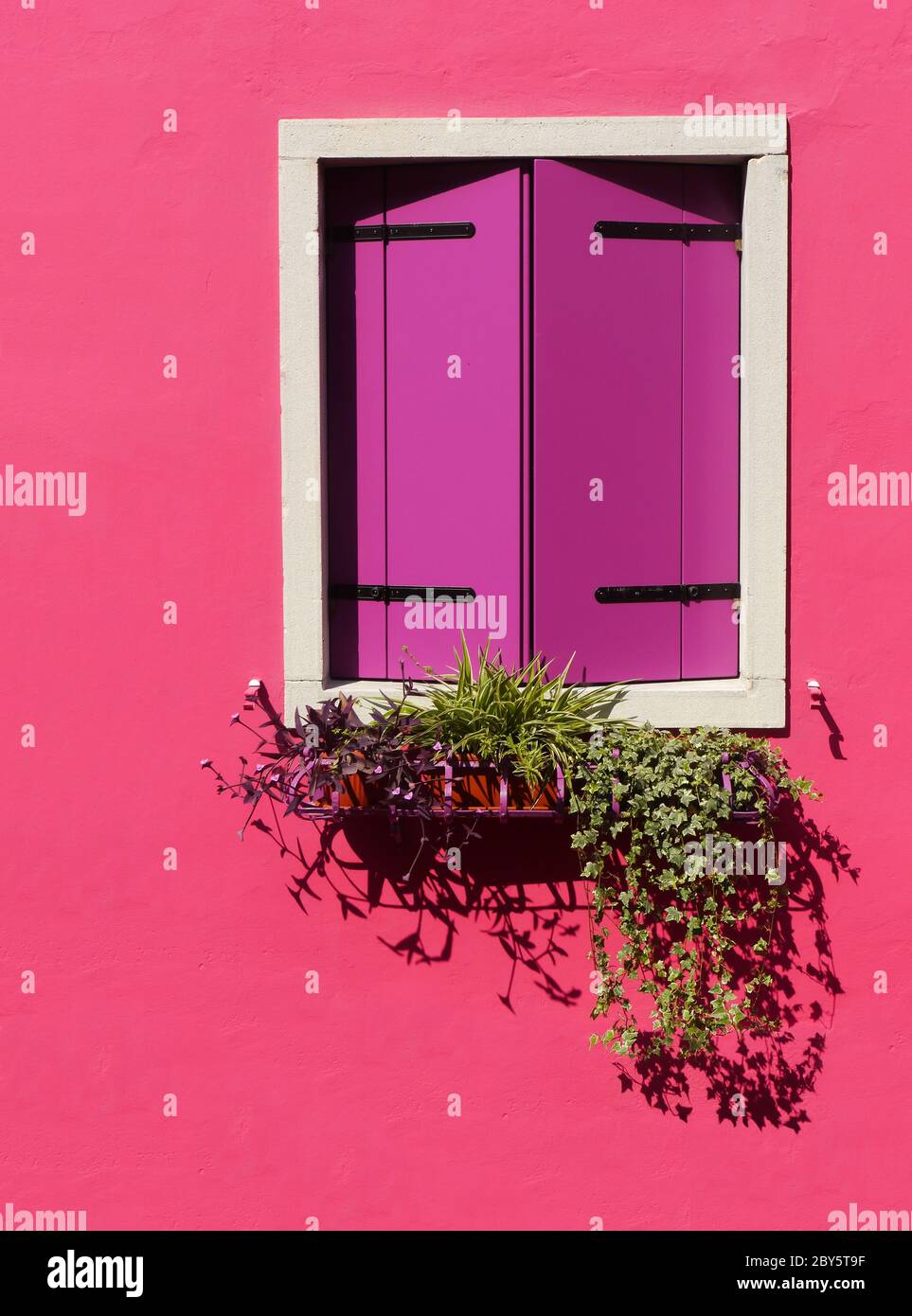 Window in Venice Stock Photo Alamy