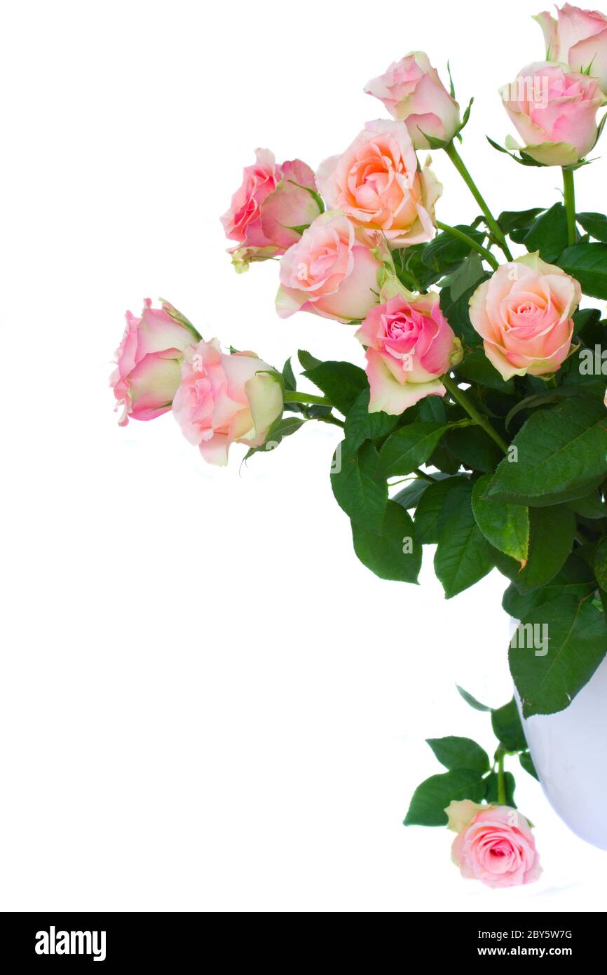 bouquet of pink roses Stock Photo - Alamy