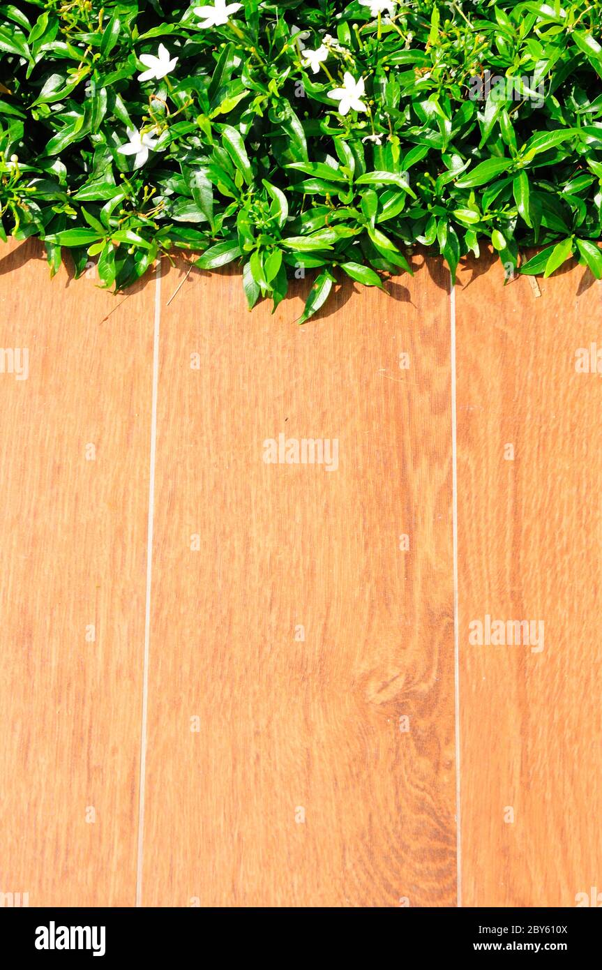 green grass on wood floor Stock Photo - Alamy