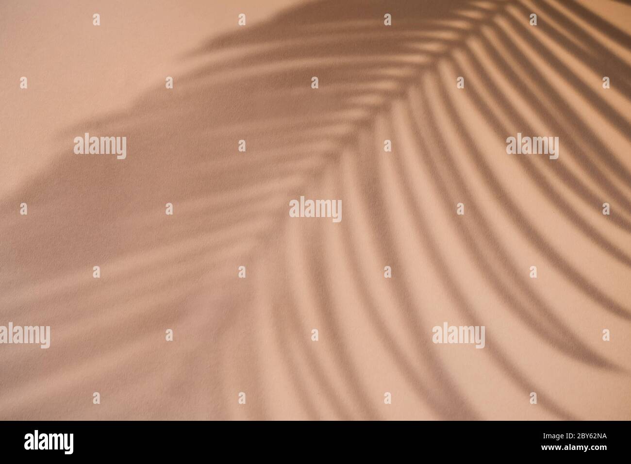 Shadow Of Palm Leaf On Natural Earthy Colors Background Creative Drawing Of Light And Shadow For Your Design Stock Photo Alamy