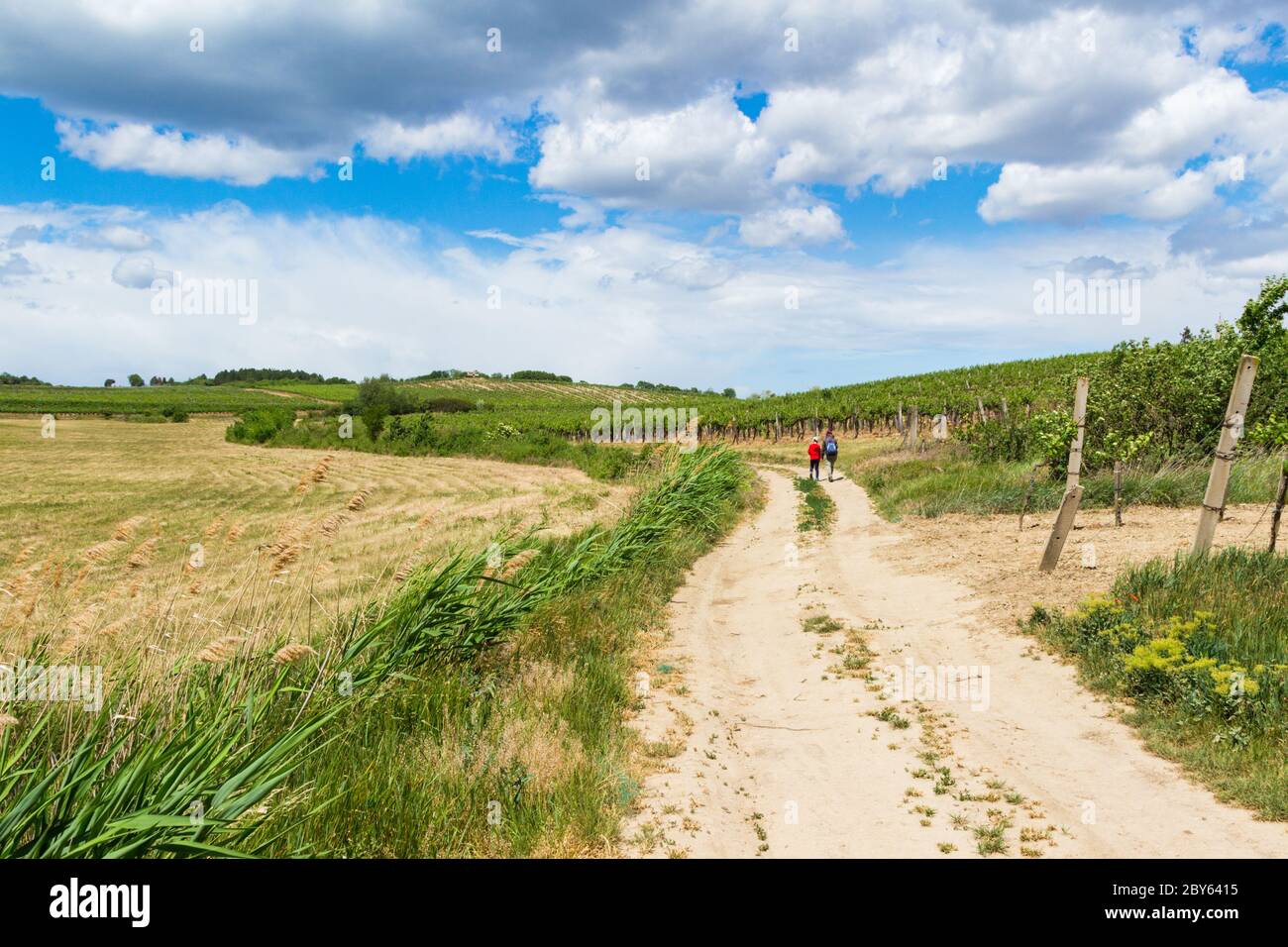 Walking On Winding Road High Resolution Stock Photography and Images ...
