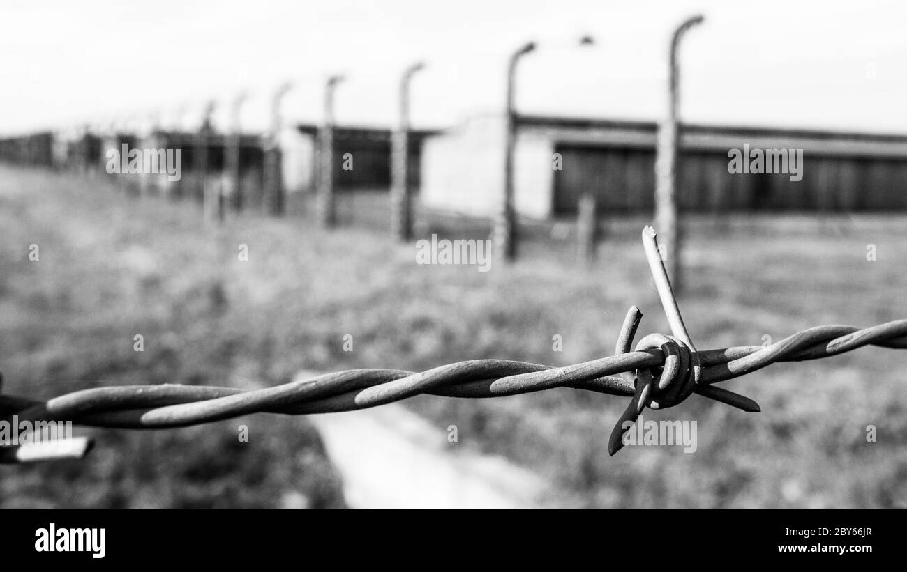 Barb wire fence and barracks in Oswiecim - Brzezinka concentration camp, German: Auschwitz - Birkenau, Poland. Black and white image. Stock Photo