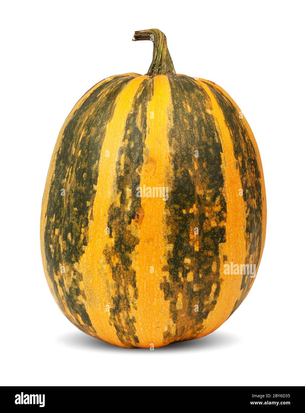Yellow pumpkin isolated on a white background Stock Photo - Alamy