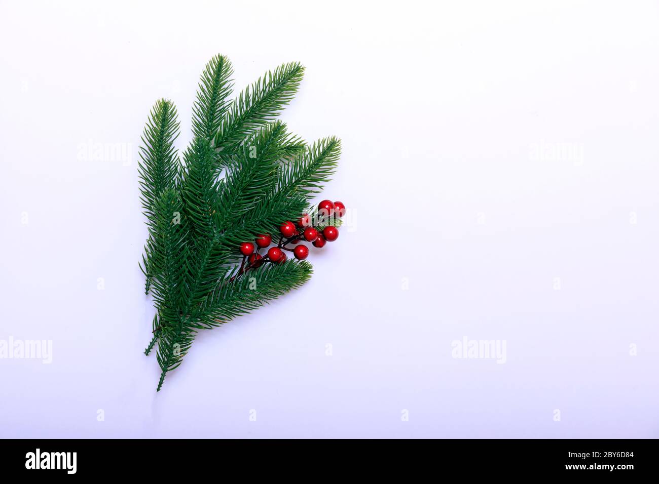 Christmas decoration of holly berry and branch isolated on white ...