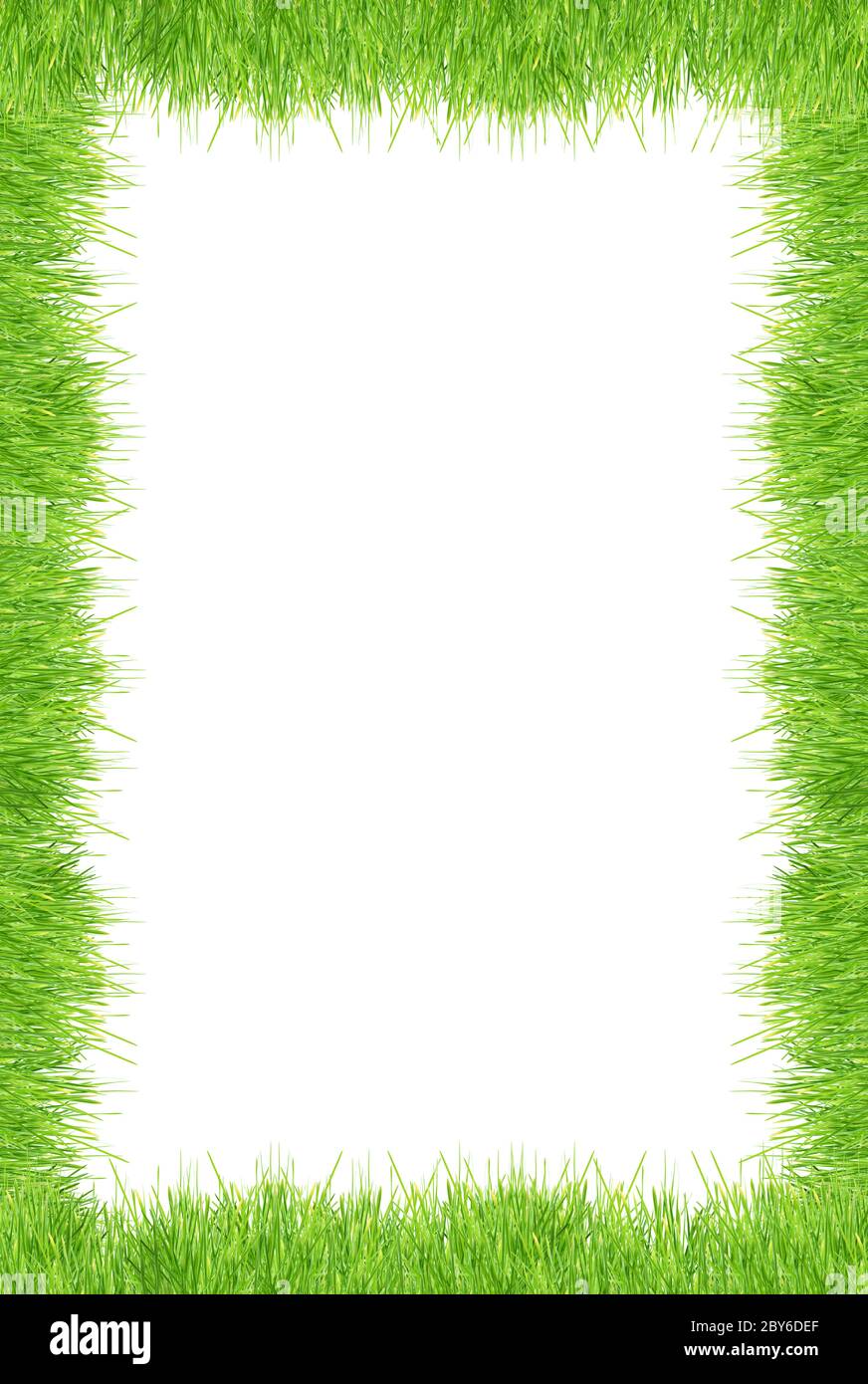 Isolated green grass on a white background Stock Photo - Alamy