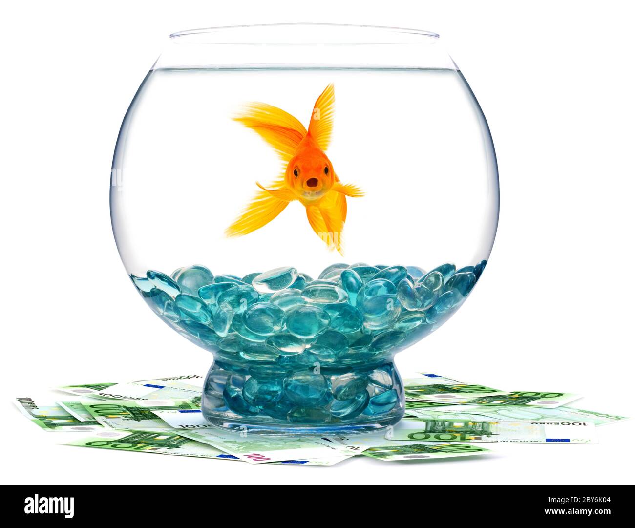 Picture of Goldfish in aquarium on a white background Stock Photo - Alamy