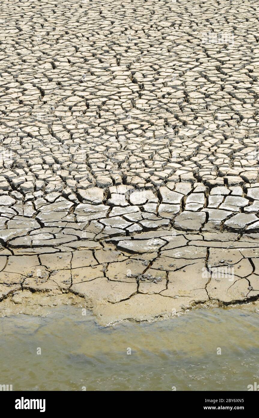 Water wet plant soil hi-res stock photography and images - Alamy