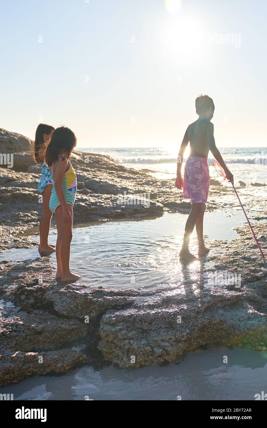 Brother and sisters playing in ocean tide pool on sunny beach Stock Photo