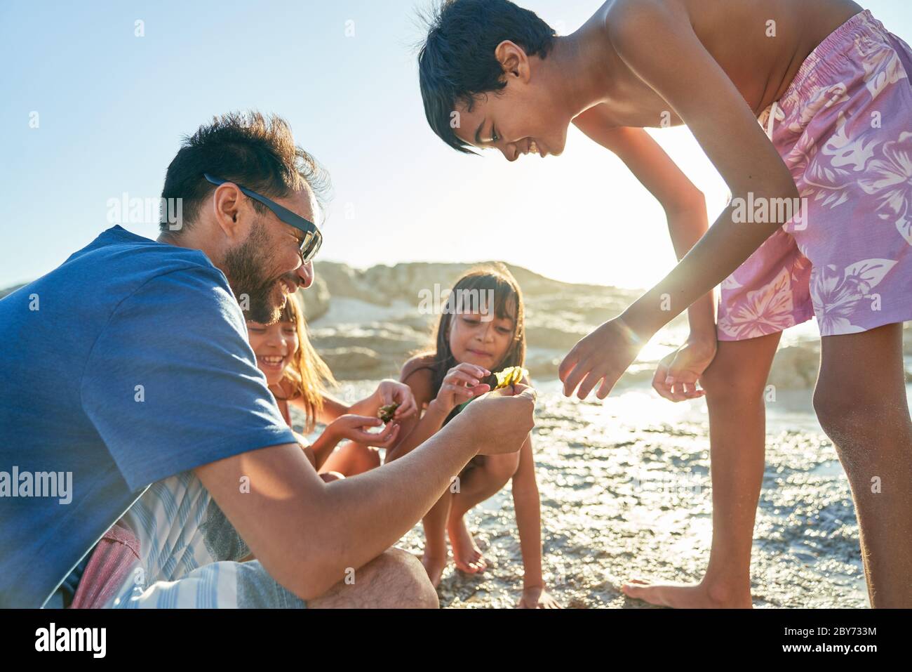 Family playing on sunny beach Stock Photo