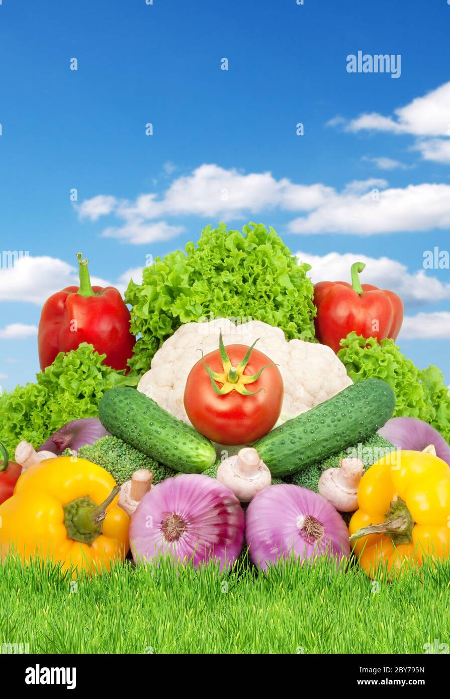 Fresh Vegetable Assorted Assorted fresh vegetables Stock Photo - Alamy