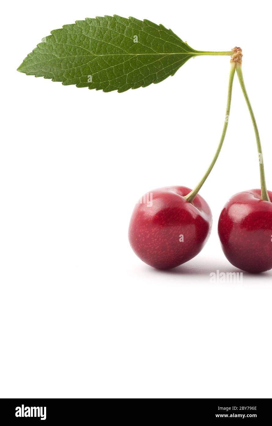 Red cherries Stock Photo