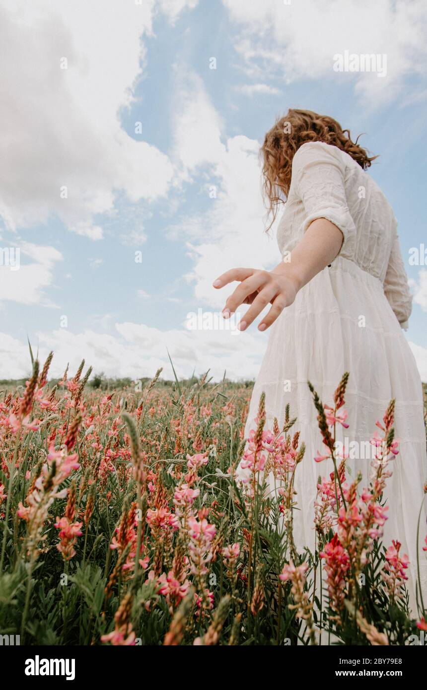 Back view on an angle of young woman in white long dress walking with hand out in a blossoming flower field Stock Photo