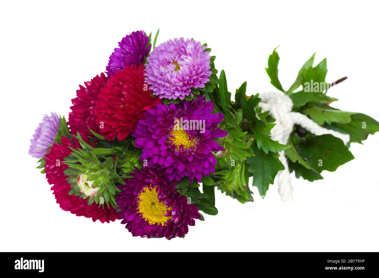 bouquet of aster flowers Stock Photo Alamy