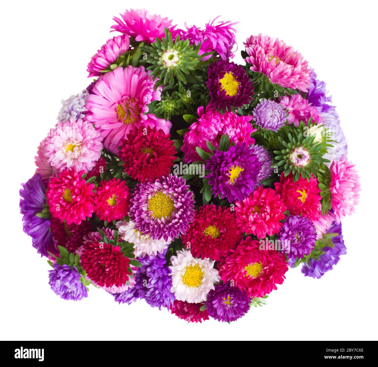 Bouquet Of Aster Flowers Stock Photo Alamy