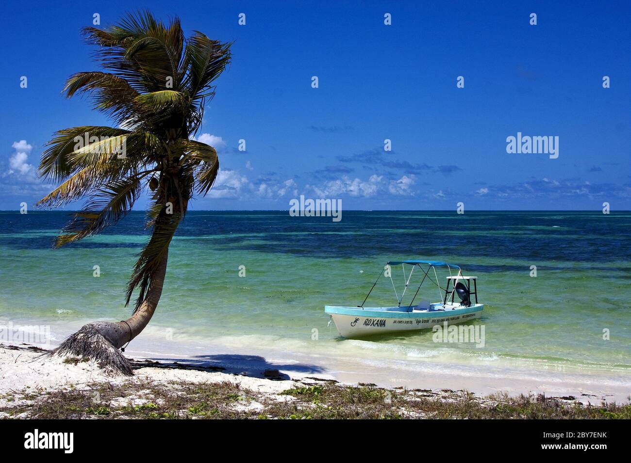 boat and palm in sian kaan mexico Stock Photo