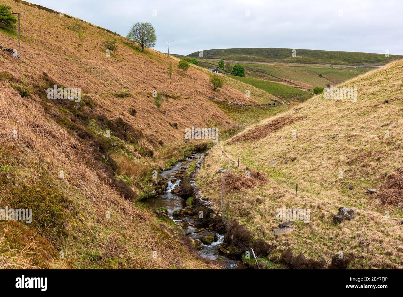 River dane,Axe edge moor,Peak District National Park,England,UK Stock