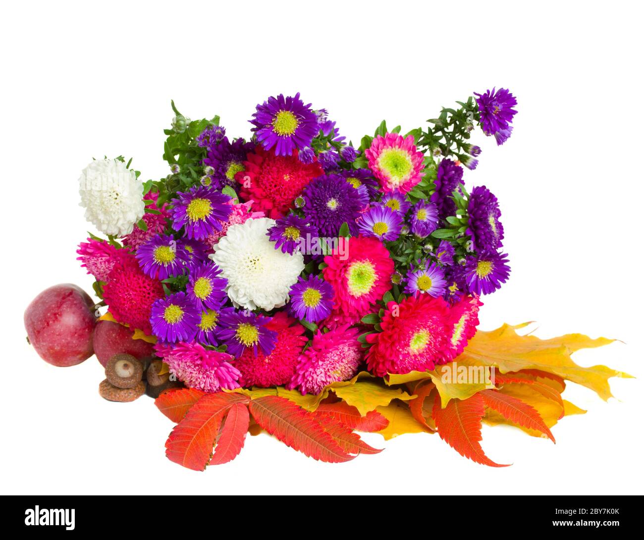 bouquet of aster flowers and leaves Stock Photo