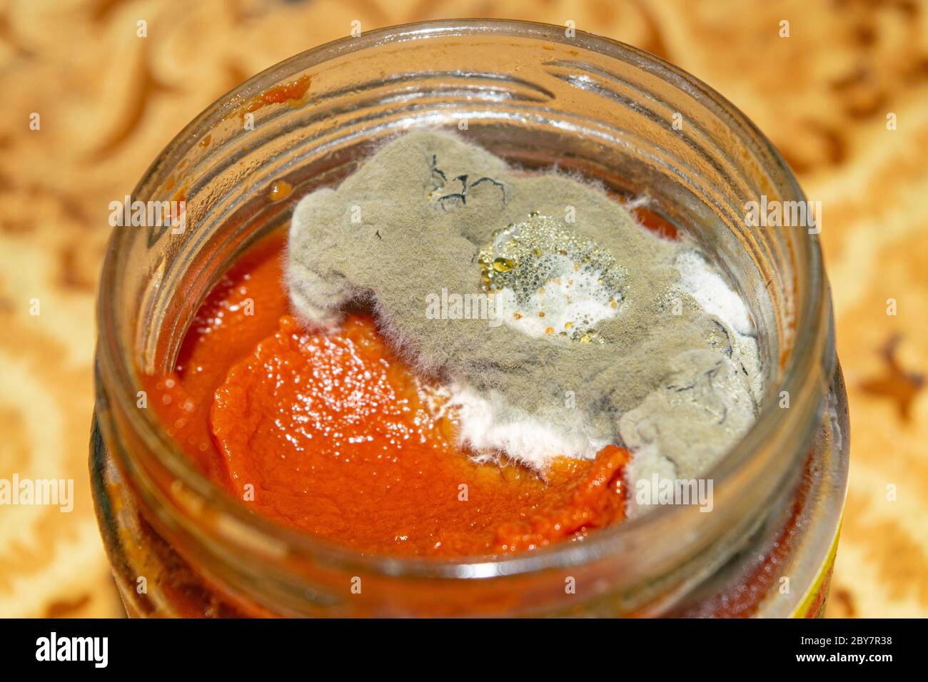 Mold growing on the tomato paste. Close up Stock Photo