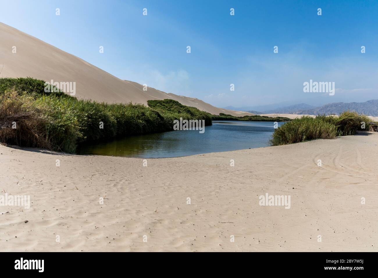 beautiful oasis in the middle of the desert with plants near the water and blue sky Stock Photo