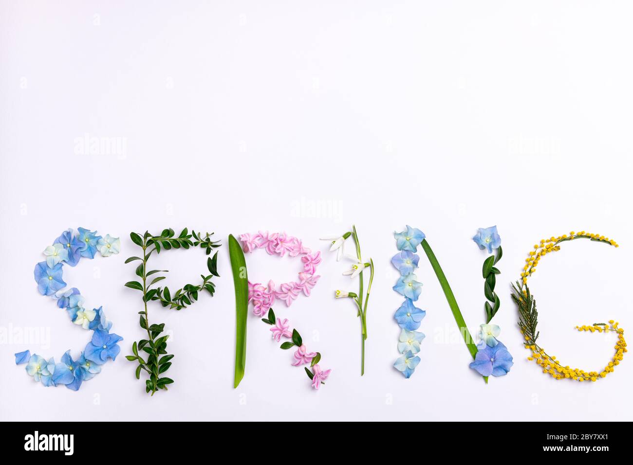 Word spring made of flowers and herbs on white background. Spring flowers composition. Creative