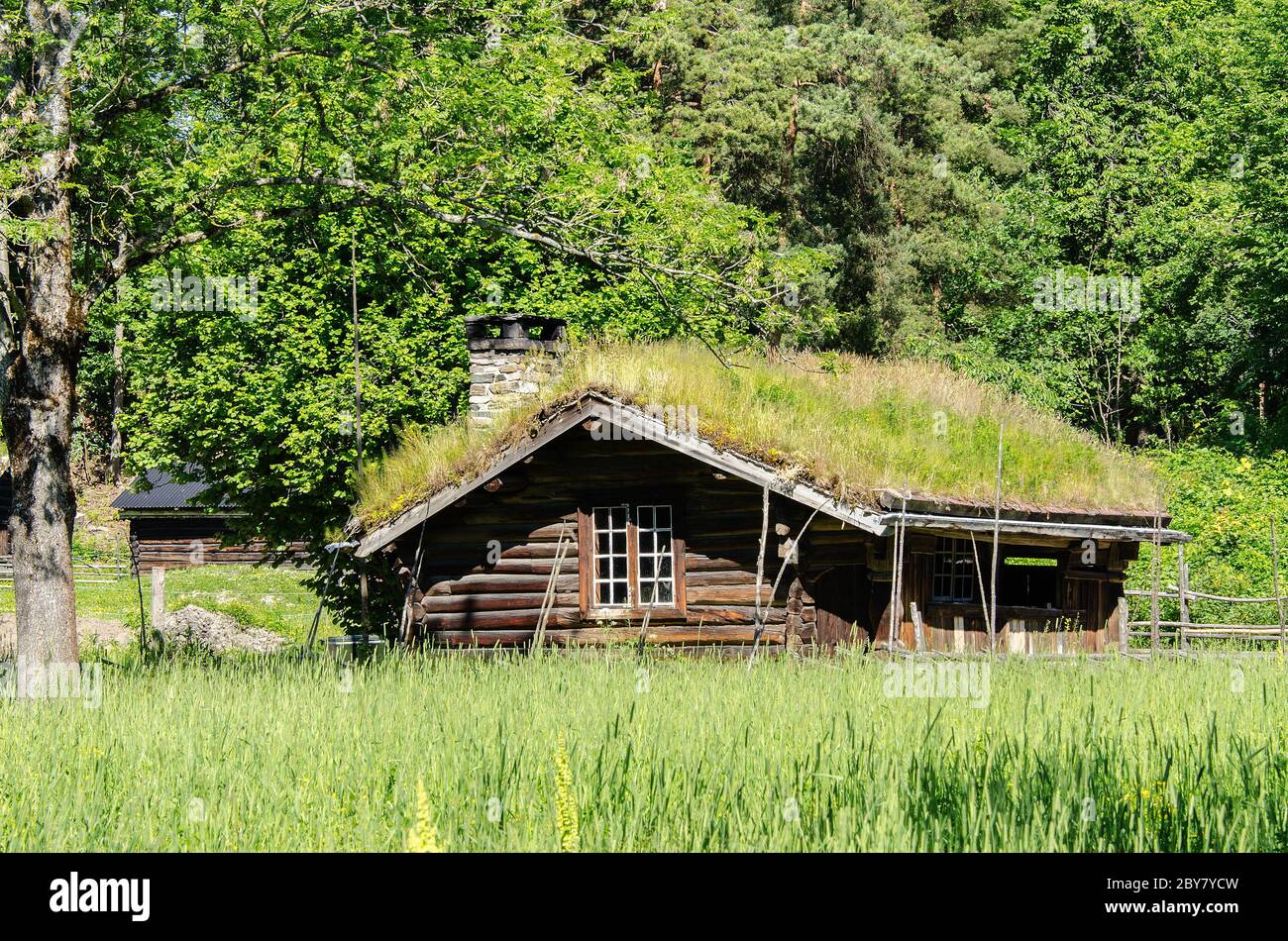 Old log house with grass growing on roof Stock Photo