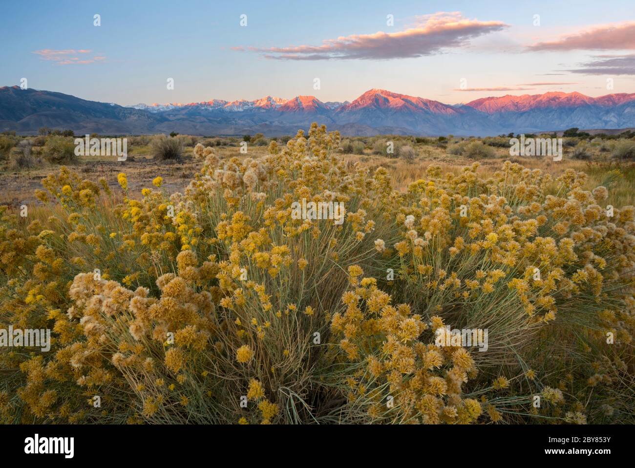 USA, California, Eastern Sierra,Sierra Nevada near Bishop Stock Photo