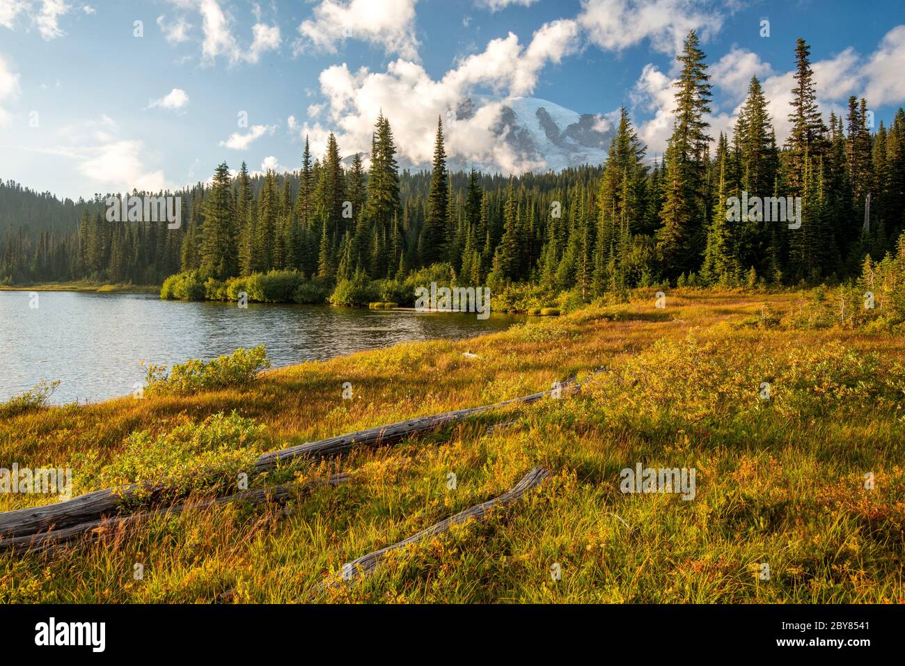 USA, West Coast, Washington, Mount Rainier National Park, Reflection lake Stock Photo