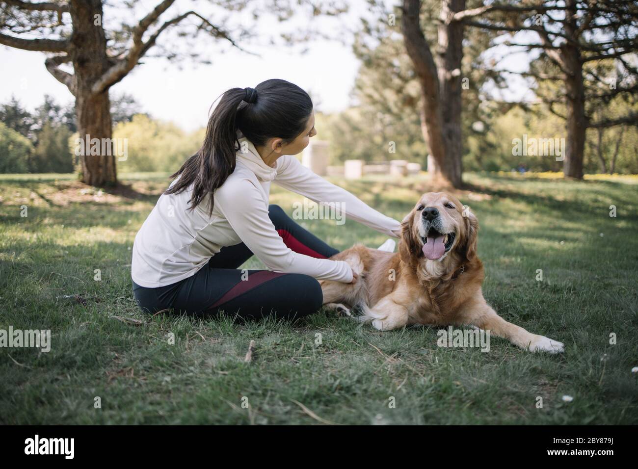 Lady and dog enjoying sunny weather in park Stock Photo - Alamy