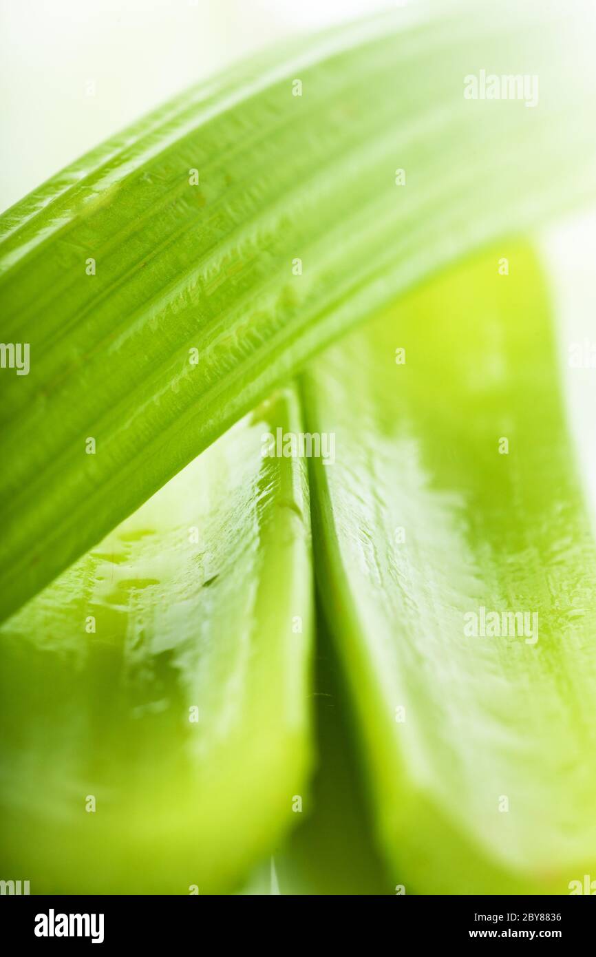 Celery stalk cross section hires stock photography and images Alamy