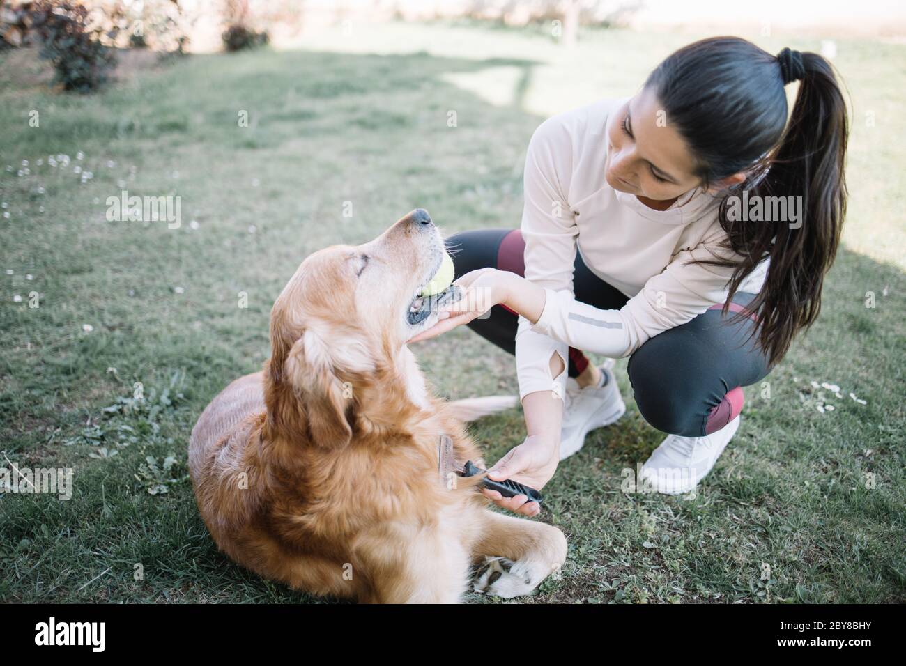 Pretty girl combing fur of dog outdoor Stock Photo