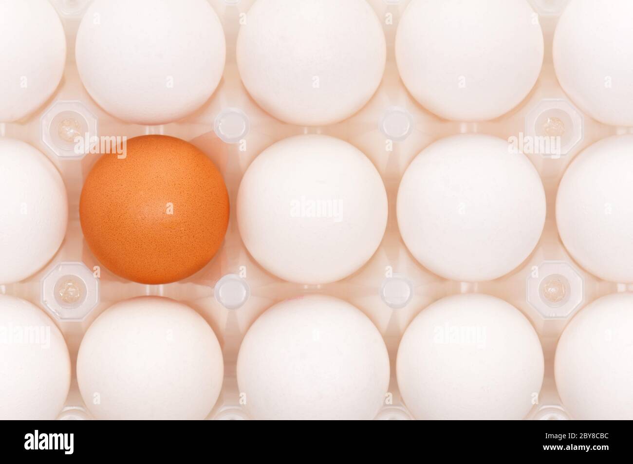 Eggs in box Stock Photo