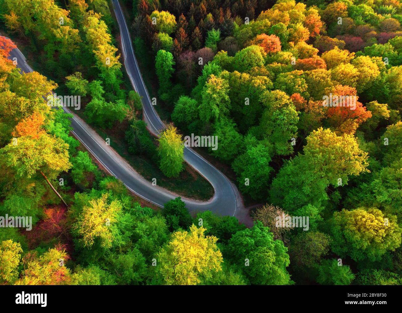Colorful aerial landscape downward shot with the view of a road bend in a beautiful forest with deciduous trees Stock Photo