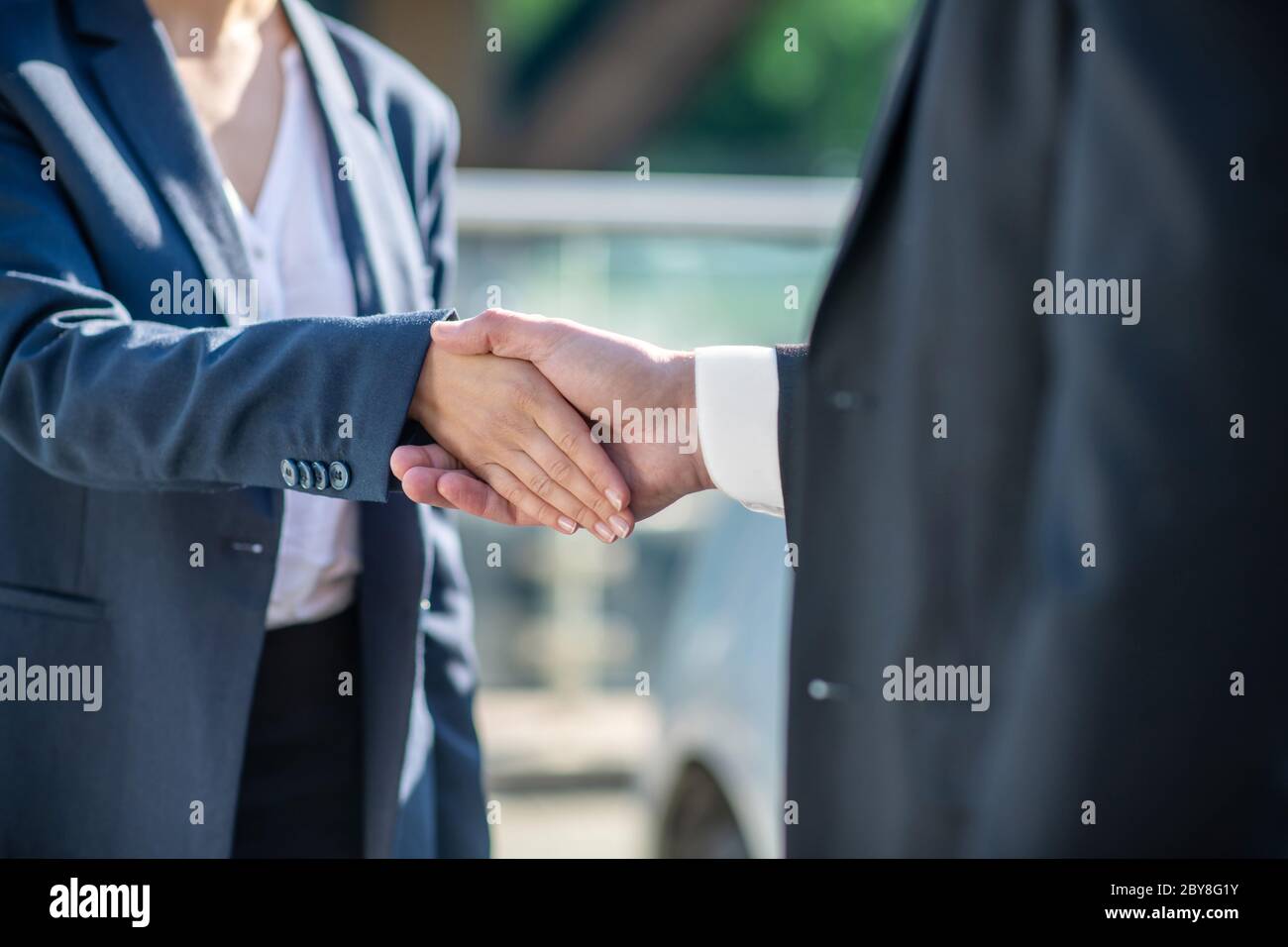 Male and female hands in a handshake Stock Photo Alamy