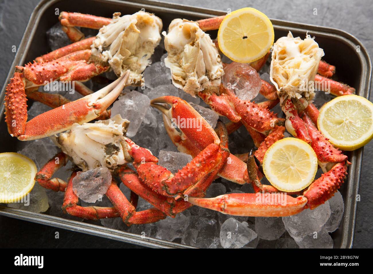 Boiled, cooked spider crab legs and carapaces, Maja brachydactyla, caught in the English Channel that have been chilled on ice. White crab meat can be Stock Photo