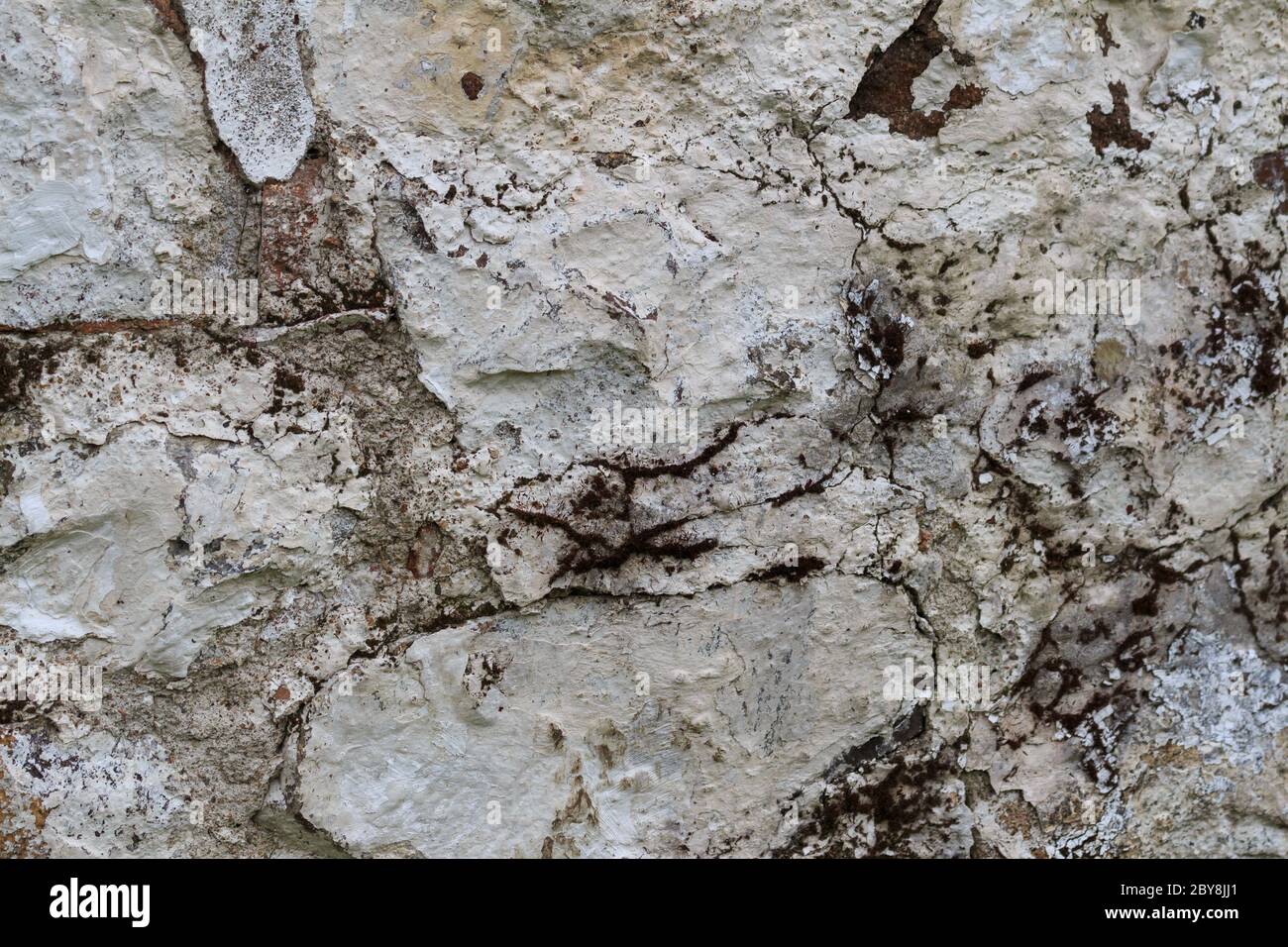 Old fashioned wall rendering Stock Photo Alamy