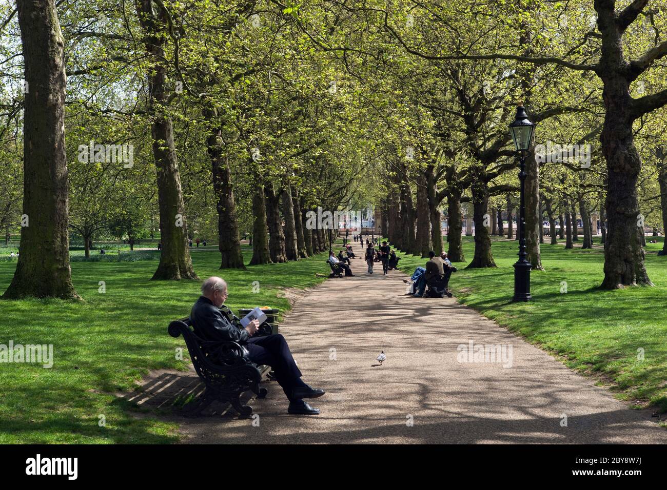Green Park in spring, London, England, UK Stock Photo