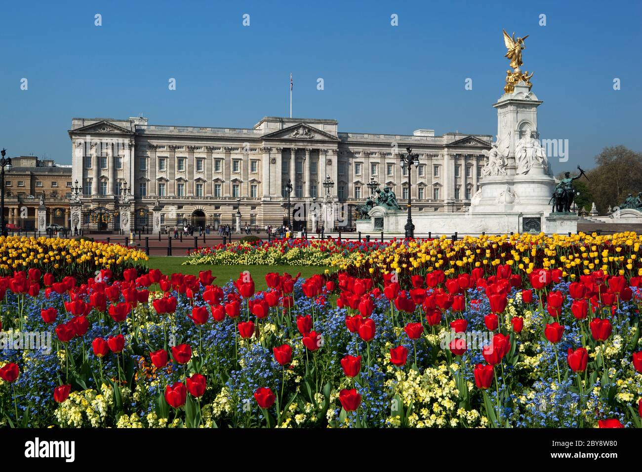 Buckingham Palace and the Queen Victoria Memorial with Spring Tulips, London, England, UK Stock Photo