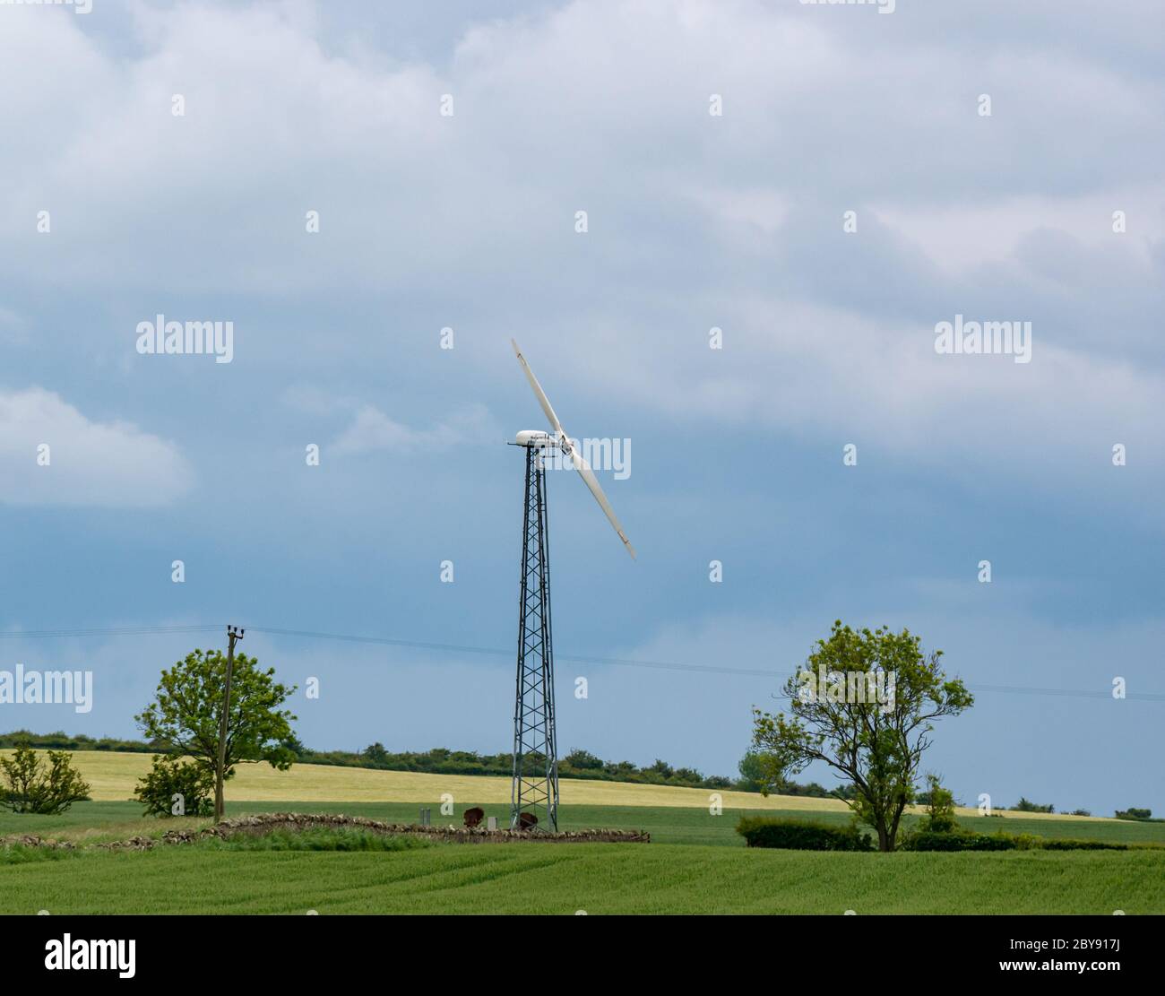 Single Gaia wind turbine in agricultural landscape with stormy sky, East Lothian, Scotland, UK Stock Photo