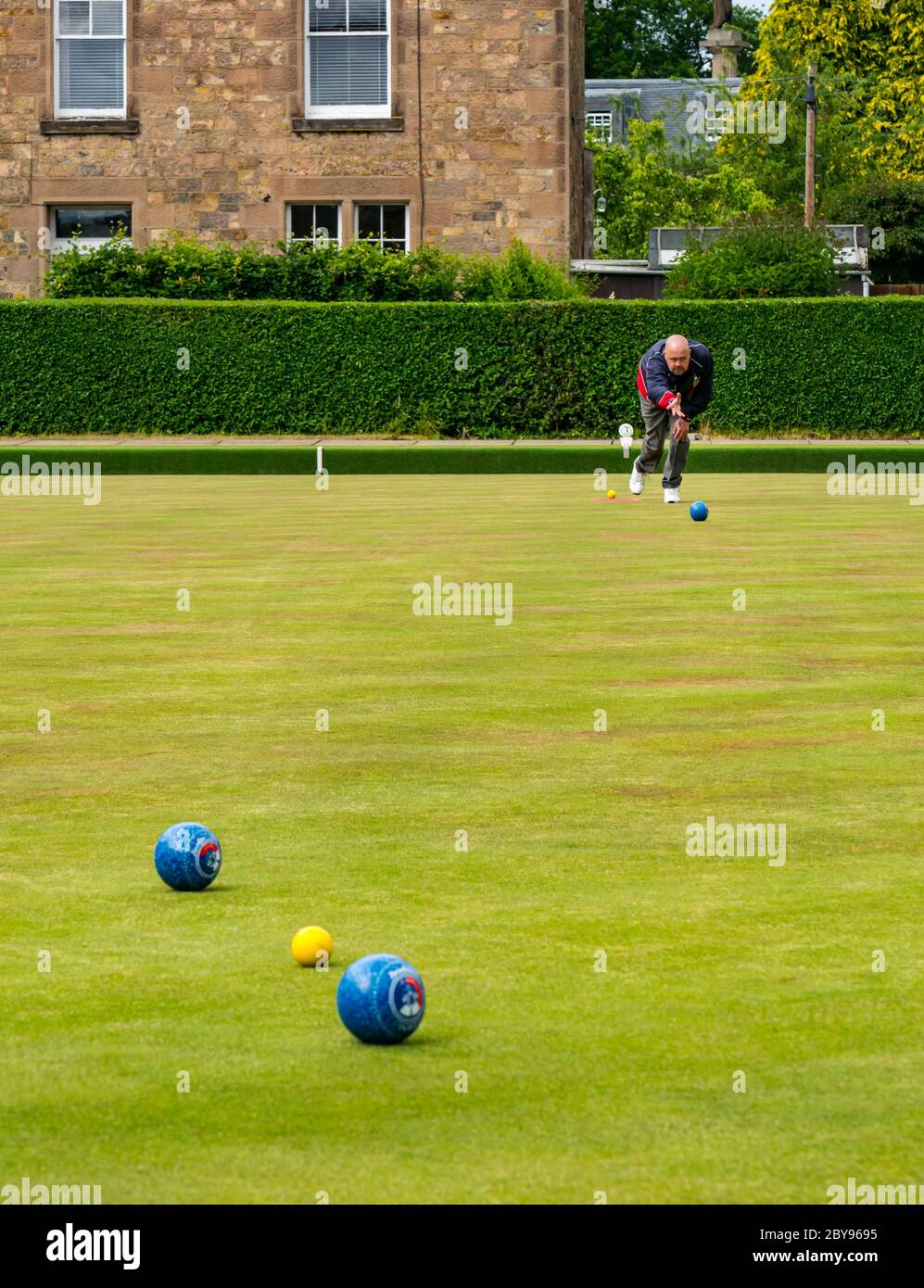 Man playing bowls on bowling green, Haddington Bowling Club, East Lothian, Scotland, UK Stock Photo