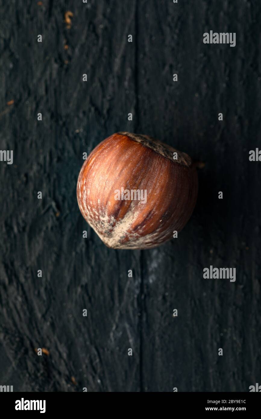 Hazelnut on a Black Wooden Surface Stock Photo