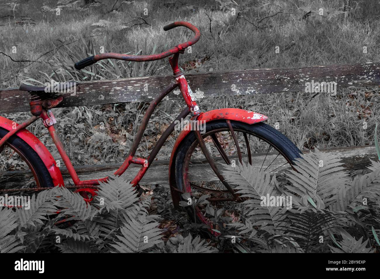 Vintage girls Roadmaster bicycle made by the Cleveland Welding Company now a garden decoration in Canadian Lakes in central Michigan USA Stock Photo Alamy