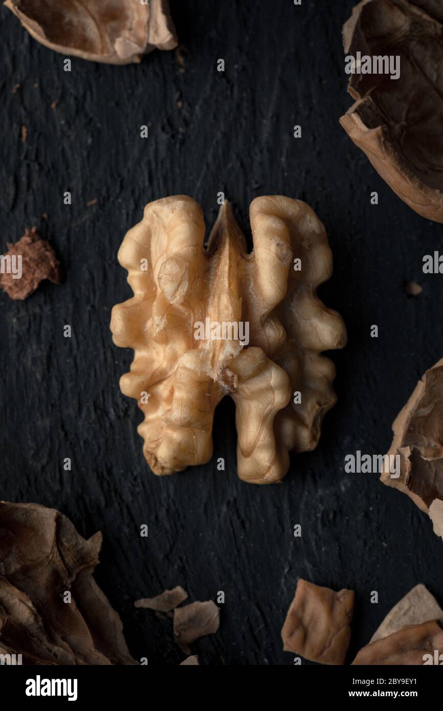One Walnut Kernel on a Black Wooden Surface with Scattered Nuthell Pieces Stock Photo