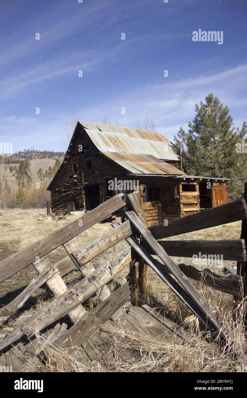 Horse Stable and Animal Shelter Builders: Complete Guide, image size:866x1390