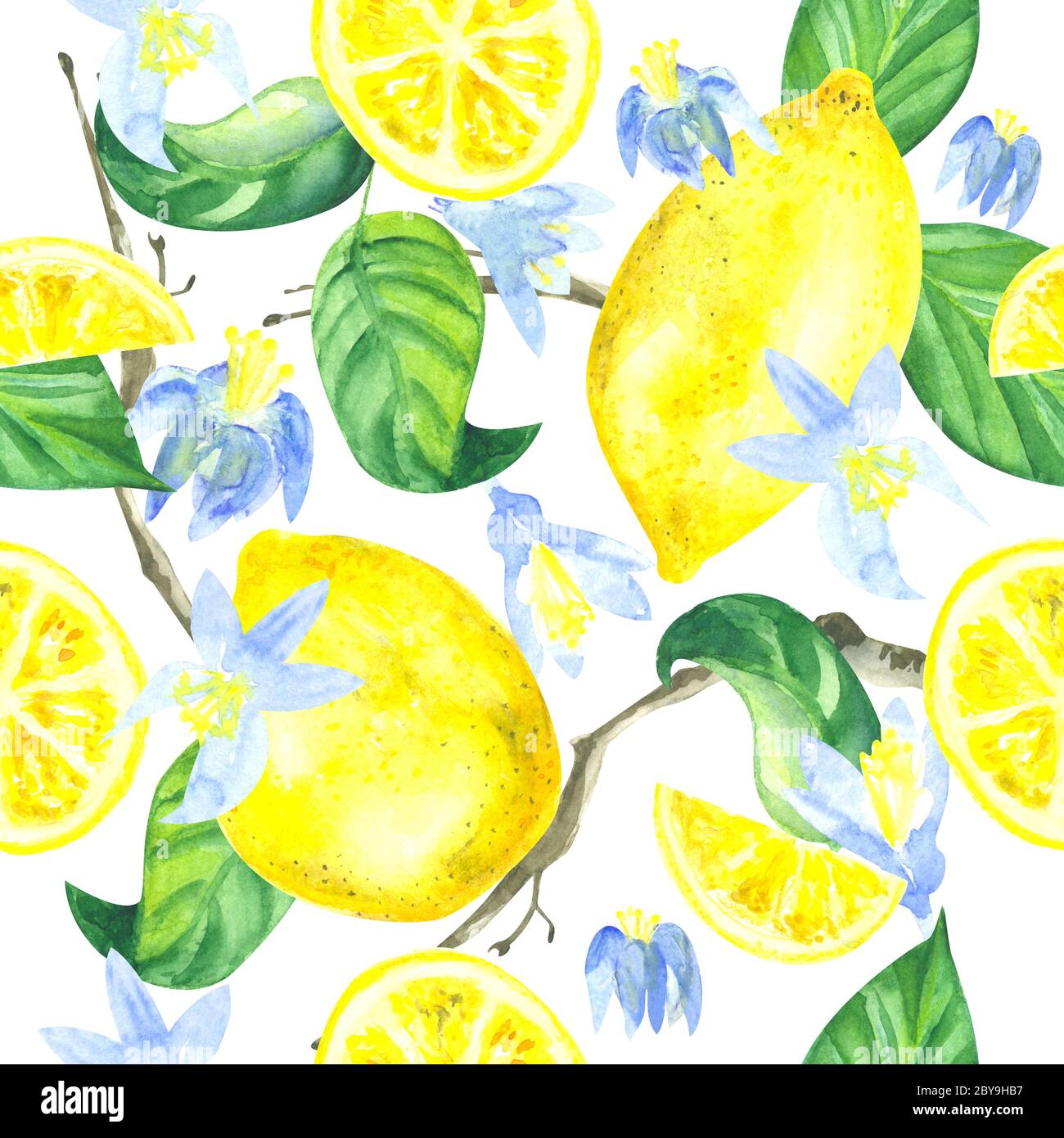 seamless watercolor pattern of lemons, lemon's slices, flowers and ...