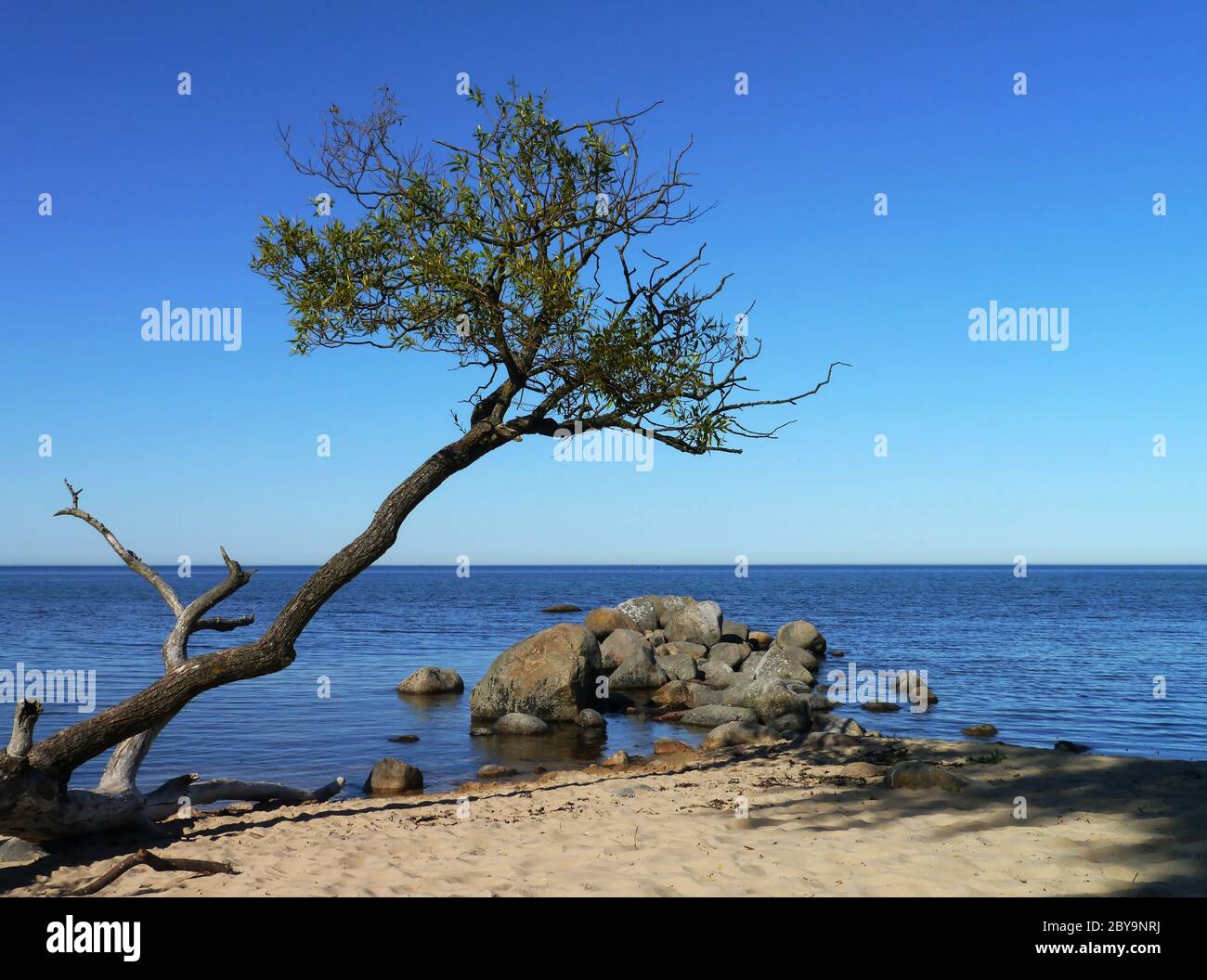 beach in sweden Stock Photo