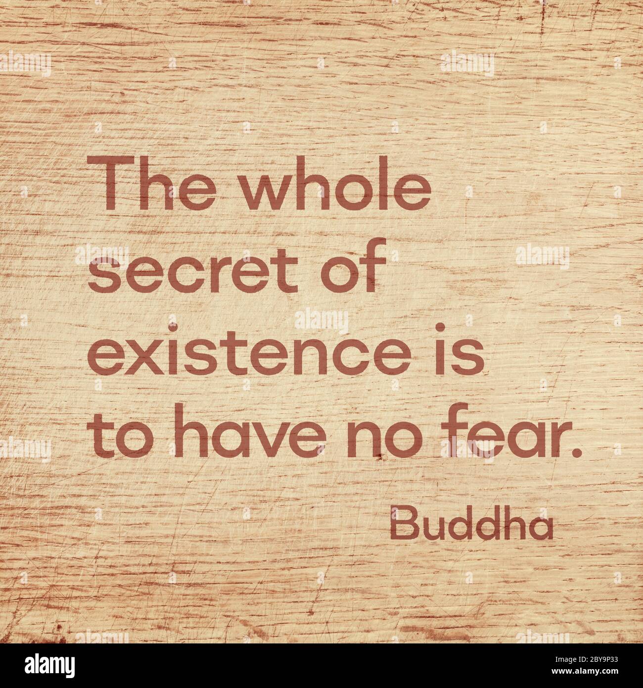 The whole secret of existence is to have no fear - famous quote of Gautama Buddha printed on grunge wooden board Stock Photo