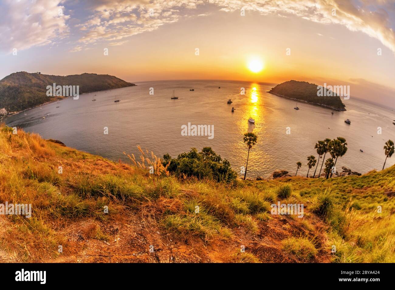 Panoramic view yellow sea beach hi-res stock photography and images - Alamy